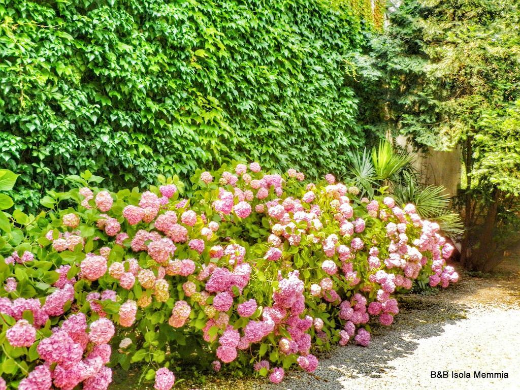 Bed and Breakfast Isola Memmia Padova Esterno foto