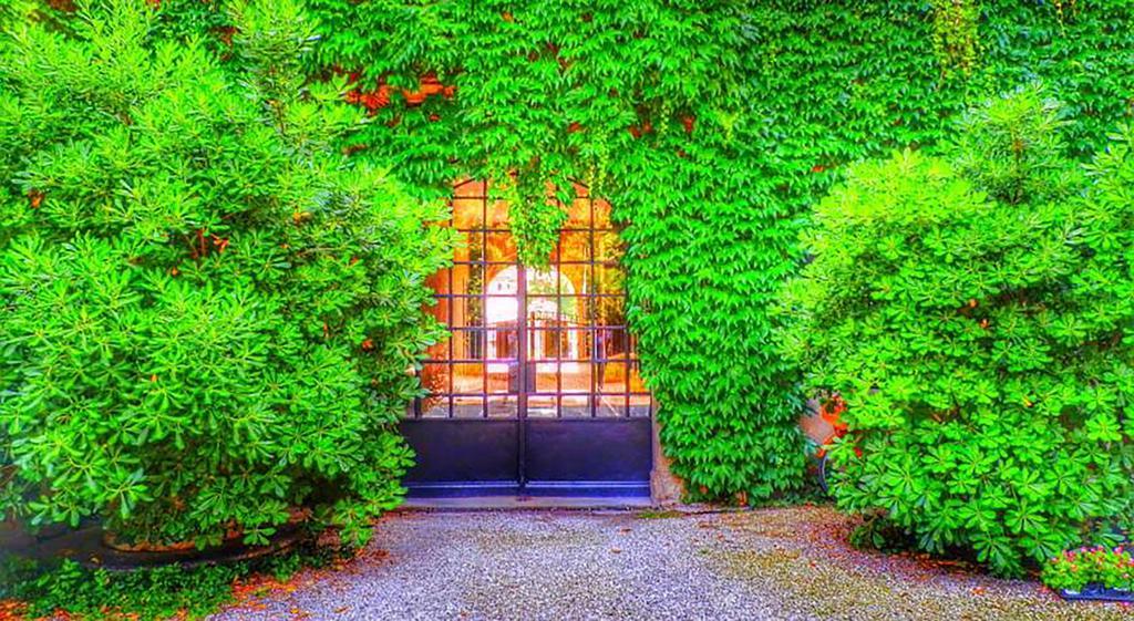 Bed and Breakfast Isola Memmia Padova Esterno foto